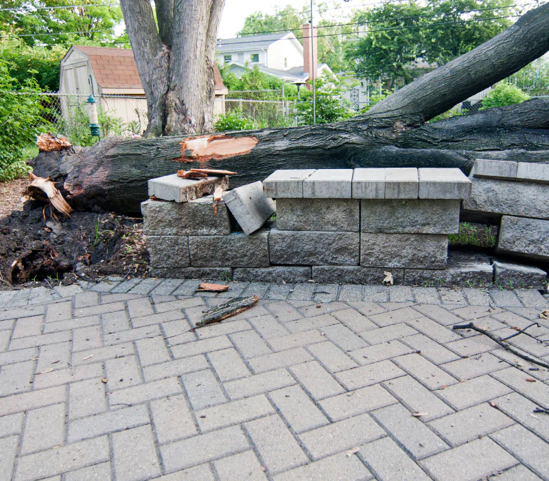 fallen tree and patio destroyed
